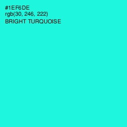 #1EF6DE - Bright Turquoise Color Image